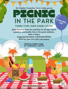 stc dem website picnic